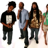 deep_rooted-05