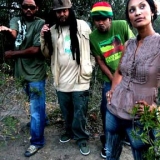 deep_rooted-10